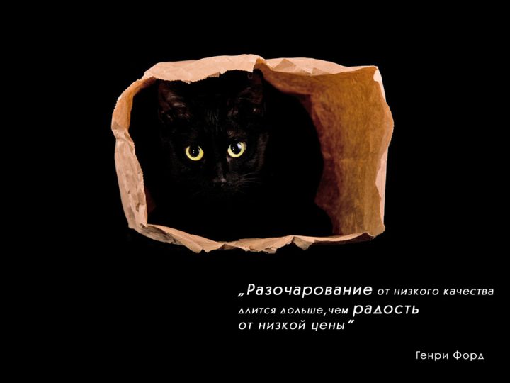 Выбор дизельного генератора: подделка или оригинал